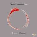 せせらぎ風情CD    FAUSTO FERRAIUOLO TRIO  ファウスト・フェライウォーロ  / CHANGING WALKING