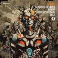 SHM-CD  菊地成孔DCPRG / SECOND REPORT FROM IRON MOUNTAIN USA