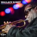 ストレート・アヘッド・ジャズ! CD WALLACE RONEY ウォレス・ルーニー / UNDERSTANDING