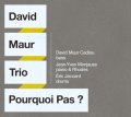 弦から放たれたベースの迷いのない力強さ! CD DAVID MAUR TRIO ダヴィッド・モウ・トリオ / POURQUOI PAS ?