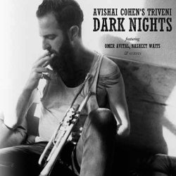 画像1: Triveni の第3 弾 CD Avishai Cohen's Triveni アヴィシャイ・コーエン・トリヴェニ / Dark Nights