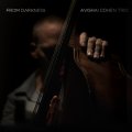 CD  AVISHAI COHEN アヴィシャイ・コーエン /  FROM DARKNESS  フロム・ダークネス + 1