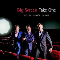 画像1: 瀟洒味に満ちたブルージー&ロマンティックな熟練の美メロ派ピアノ絶好調!　CD　BIG SCREEN (David Newton, Tom Farmer, Matt Skelton) / TAKE ONE