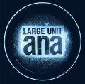 旨味あるソロとスリリングな展開でピリッと高揚させる現代フリー会心打!　CD　LARGE UNIT / ANA