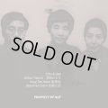 【ちゃぷちゃぷ → No Business】CD  Ton-Klami   /  Prophesy of Nue 