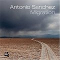 CD  ANTONIO SANCHEZ   アントニオ・サンチェス   /  MIGRATION  マイグレーション