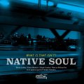 【CELLAR LIVE】CD Native Soul / What Is That Isn't?