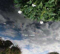 画像1: CD 近藤達郎 / 青空 / Azure