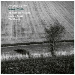 画像1: 【ECM】180g重量盤LP Avishai Cohen アヴィシャイ・コーエン   /  Naked Truth  ネイキッド・トゥルース