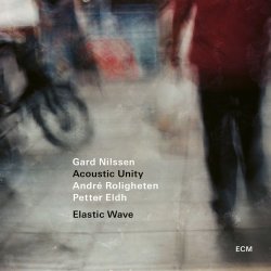 Gard Nilssen Acoustic Unity / Elastic Wave