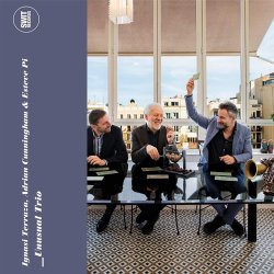 Ignasi Terraza, Adrian Cunningham & Esteve Pi / Unusual Trio