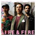 輸入盤LP OMER KLEIN TRIO オメル・クライン / Life & Fire