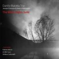 ファブリッツィオ・ボッソ(tp)の客演も嬉しい山あり谷ありのドラマティックなメリハリ&色彩感に富んだイタリアン小コンボによる独創的組曲アルバム!　CD　DANILO BLAIOTTA TRIO+ ダニーロ・ブライオッタ / THE WHITE NIGHTS SUITE
