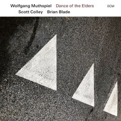 画像1: 輸入盤LP    Wolfgang Muthspiel  ウォルフガング・ムースピール  /   DANCE  OF THE  ELDERS  ダンス・オブ・ジ・エルダーズ