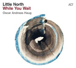画像1: ［ACT］LP LITTLE NORTH リトル・ノース / While You Wait