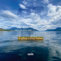 画像1: 【OZELLA】輸入盤LP ODDGEIR BERG オッドゲイル・ベルグ / place called Home