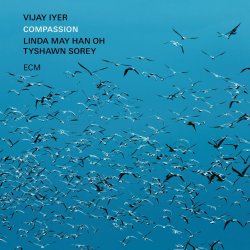 Vijay Iyer / Compassion