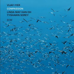 Vijay Iyer / Compassion