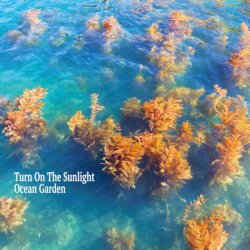 画像1: ［rings］ 金延幸子、Sam Gendel 等参加 CD Turn On The Sunlight  ターン・オン・ザ・サンライト / Ocean Garden オーシャン・ガーデン