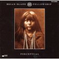 SHM-CD   BRIAN  BLADE  FELLOWSHIP  ブライアン・ブレイド・フェローシップ  /  PERCEPTUAL  パーセプチュアル