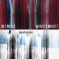 【UK Whirlwind Recordings】2枚組LP Rez Abbasi レズ・アバシ / Sound Remains