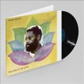 完全限定輸入復刻盤LP  BENNIE  MAUPIN  ベニー・モウピン /  THE  JEWEL  IN  THE  LOTUS