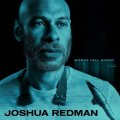 180g重量輸入盤LP　JOSHUA  REDMAN ジョシュア・レッドマン /  WORDS FALL SHORT  ワーズ・フォール・ショート