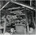 CD 石渡 明廣 AKIHIRO ISHIWATARI / 井戸 IDO