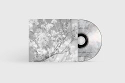 菊地 雅章 / 花道 II