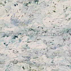 画像1: CD Jeremie Ternoy Trio ジェレミー・テルノワ・トリオ / Survol A Basse Altitude