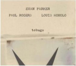画像1: CD EVAN PARKER エバン・パーカー / Tebugo