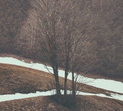 Søren Bebe Trio / First Song