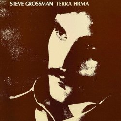 画像1: 【ジャズ万博 期間限定価格CD】CD STEVE GROSSMAN スティーブ・グロスマン / TERRA FIRMA テラ・ファーマ  