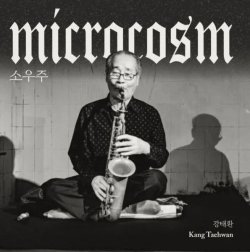 画像1: 【送料込み価格設定商品】輸入盤2枚組CD 姜泰煥 KANG TAE HWAN  / MICROCOSM