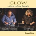 輸入盤CD　David Friedman & Tony Miceli デイヴィッド・フリードマン＆トニー・ミセリ / Glow  ヴィブラフォン2台が織りなすきらめく音の対話 
