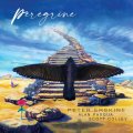 輸入盤LP Peter Erskine & Alan Pasqua & Scott Colley ピーター・アースキン、アラン・パスカ、スコット・コリー / Peregrine  高品質な「Ultra Vinyl」仕様 