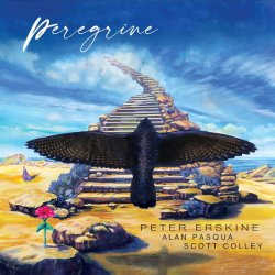 画像1: 輸入盤LP Peter Erskine & Alan Pasqua & Scott Colley ピーター・アースキン、アラン・パスカ、スコット・コリー / Peregrine  高品質な「Ultra Vinyl」仕様 