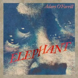 画像1: 輸入盤LP ADAM O'FARRILL アダム・オファリル / ELEPHANT   ポストバップの解体と再構築。伝統を脱ぎ捨て、現代（いま）を纏う。NY現代ジャズの最前線がここにある。  