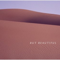 画像1: CD   渡辺 貞夫 SADAO WATANABE  /  BUT BEAUTIFUL