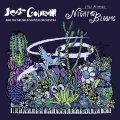 輸入盤LP Jeff Goldblum & The Mildred Snitzer Orchestra ジェフ・ゴールドブラム & ミルドレッド・スニッツァー・オーケストラ / Night Blooms   遊び心とエレガンス、そして華やかでポップ＆ゴージャス！肩肘張らずに誰もが楽しめる、最高にハッピーなジャズ・アルバム。  