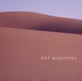 国内制作CD　渡辺 貞夫 SADAO WATANABE / BUT BEAUTIFUL     脱力調子でソフト・スムースかつテンダー&ジェントルに悠々と美メロを歌いきる熟成されたアルト・プレイが何とも風流で爽やかな妙味を揮った寛ぎ小唄路線の謹製品 