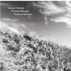 画像1: 【ECM】国内SHM-CD 田中鮎美/トーマス・モーガン/トーマス・ストレーネン AYUMI TANAKA / Windflower  東洋・西洋・北欧の感性が溶け合う室内楽の緻密さとジャズの即興性。3人の感性が美しく調和。  