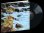 画像2: 完全限定輸入復刻 180ｇ重量盤LP  Wes Montgomery ウェス・モンゴメリー  /  California Dreaming     【RVG録音】豪華布陣と紡ぐ、Verve期ラストの名盤。ストレート・ジャズからポップスへの美しい転換点。ウェス最晩年の重要作がここに。   (2)