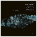 輸入盤CD Andy Sheppard アンディ・シェパード / Salt Catchers     亡き恩師へ捧ぐ、名曲「Lawns」。アンディ・シェパードがその深い精神性を受け継ぐニュートリオ。 