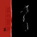 国内仕様・輸入盤CD　RGG / THE SOUL OF SOIL     昏く物憂い哀愁に満ちた心象スケッチ風のメランコリー描写がどこかピエラヌンツィ辺りにも通じるポーランド現代ピアノ・トリオのショパン変奏集 