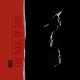 国内仕様・輸入盤CD　RGG / THE SOUL OF SOIL     昏く物憂い哀愁に満ちた心象スケッチ風のメランコリー描写がどこかピエラヌンツィ辺りにも通じるポーランド現代ピアノ・トリオのショパン変奏集 