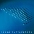 国内盤LP 　川崎 燎  RYO KAWASAKI  /  PRISM  プリズム