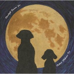 画像1: ［180g 完全限定重量盤LP ］VLADIMIR SHAFRANOV TRIO ウラジミール・シャフラノフ・トリオ /  MOONLIGHT  BECOMES  YOU  ムーンライト・ビカムズ・ユー