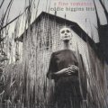 【ヴィーナスレコード 完全限定180g重量盤LP】EDDIE HIGGINS TRIO エディ・ヒギンズ・トリオ /  素敵なロマンス  A FINE ROMANCE