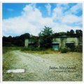 日本デビュー盤CD     SEAN WAYLAND   シーン・ウェイランド  / COLOSSUS OF RHODES